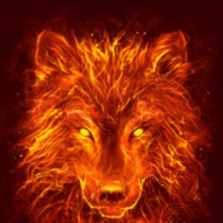 Telegram profile photo for 火狼 曝光爆料
