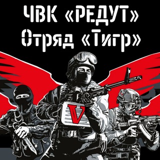 Telegram profile photo for ДРО ТИГР РЕДУТ