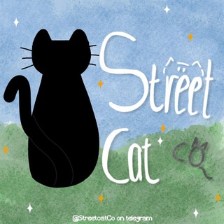 Telegram profile photo for StreetCat Co.