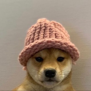 Telegram profile photo for Achiwifhat