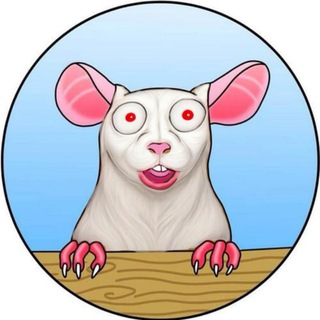 Telegram profile photo for FOX - Matt Furie's Pet Rat 0x62 | CTO | PORTAL