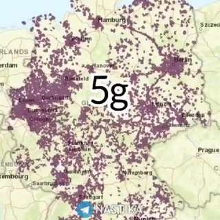 Telegram profile photo for 5G