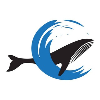 Telegram profile photo for βοΈOren Whales callsπ³