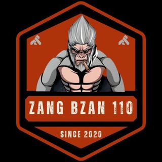 Telegram profile photo for ZANG BZAN110