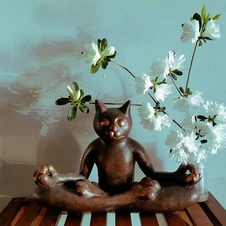 Telegram profile photo for The Yoga Well