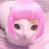Telegram profile photo for Крапля дощу