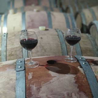 Telegram profile photo for Винодельня Бегильдеева🍷