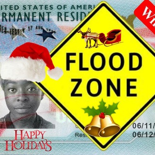 Telegram profile photo for FLOOD Winners DV 2027 / 2026