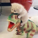 Telegram profile photo for Обучение для новичков