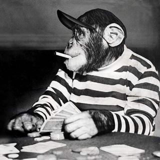 Telegram profile photo for Unknown Ape Team