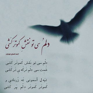 Telegram profile photo for * تُربَی حَسَنو *