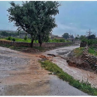 Telegram profile photo for روستای گزکوه