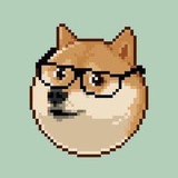 Telegram profile photo for CTO