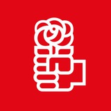 Telegram profile photo for Logovo Socdema