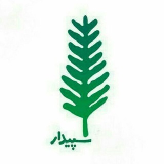 Telegram profile photo for سپیدار