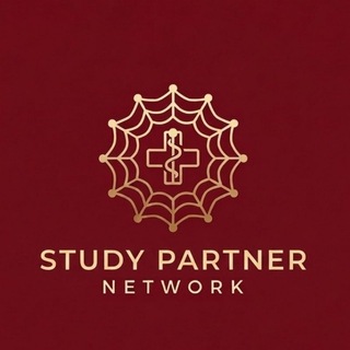 Telegram profile photo for Study Partner Network