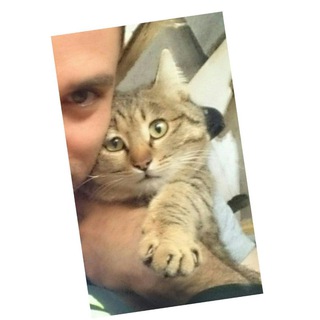 Telegram profile photo for Bohorz