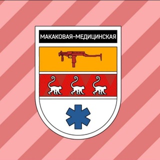 Telegram profile photo for TMSPMG 2.0
