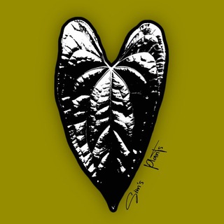 Telegram profile photo for Sim’s Plants