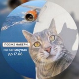 Telegram profile photo for Школа IQ007 Зеленоград