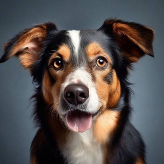 Telegram profile photo for Энциклопедия мира