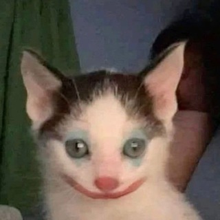 Telegram profile photo for ktfgrnt