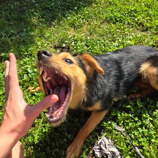 Telegram profile photo for Отзывы Asyam