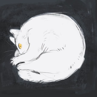 Telegram profile photo for lexasz