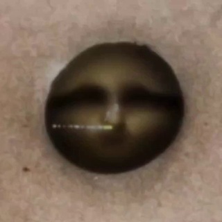Telegram profile photo for + ҉S҉҉C҉҉H҉҉I҉҉Z҉҉O҉҉B҉҉A҉҉S҉҉E҉ +