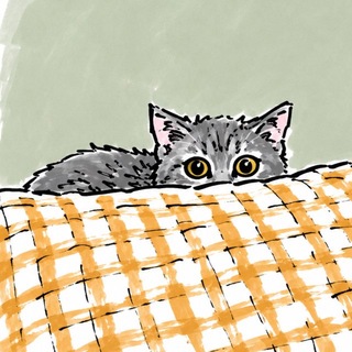 Telegram profile photo for رفرش
