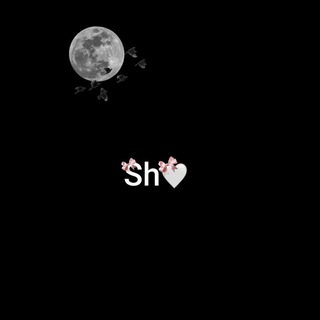 Telegram profile photo for Shπ€