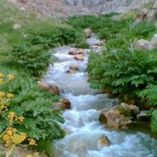 Telegram profile photo for جویبار اندیشه