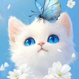 Telegram profile photo for Открытки от Котика