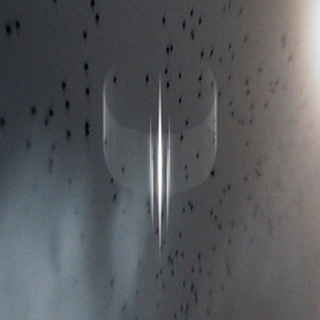 Telegram profile photo for tempestas