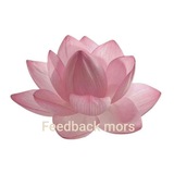 Telegram profile photo for Feedback mors