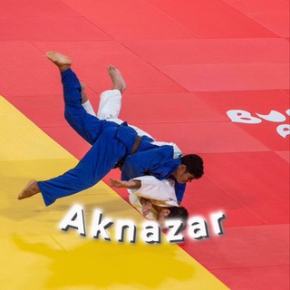 Telegram profile photo for @Aknazar отзывы N2