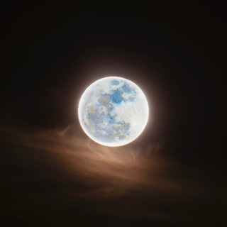 Telegram profile photo for Moonrise