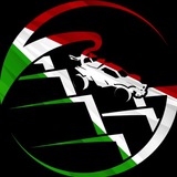 Telegram profile photo for ๐ Rocket League | Links