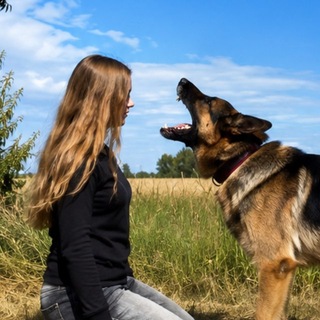 Telegram profile photo for Немецкие корни