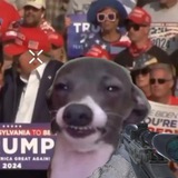 Telegram profile photo for SMOOKE DOGG - BASE MEME