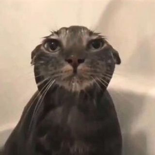 Telegram profile photo for клоунада 😱😱