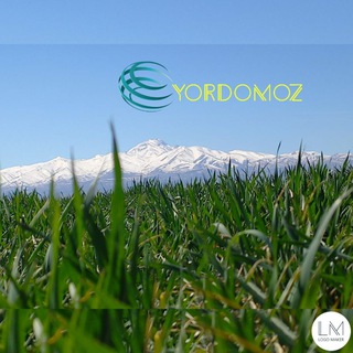 Telegram profile photo for Yordomoz