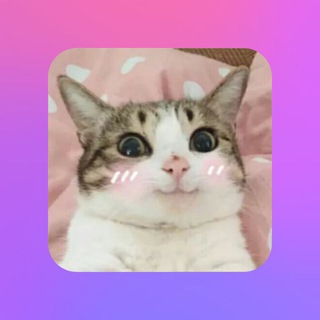 Telegram group profile photo for 星辰流量转发 发卡开业