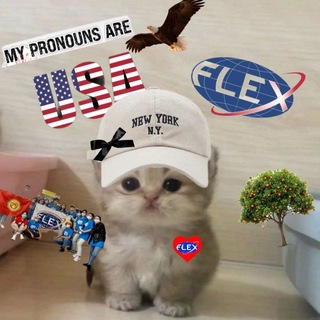 Telegram profile photo for Дневник будущей флексерши🪽