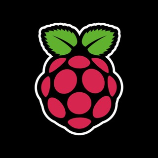 Telegram group profile photo for 树莓派 Raspberry Pi
