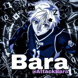 Telegram profile photo for Bara