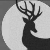Telegram profile photo for اقتباسات سطر