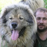 Telegram profile photo for Артель.