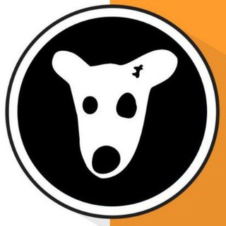 Telegram profile photo for DAILY COMBO AND CODE