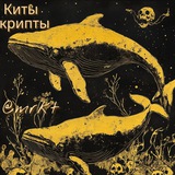 Telegram profile photo for Киты Крипты 🐋🐳 @mrkt